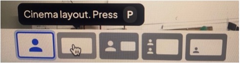 Layout switcher options